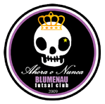 blumenau_fc
